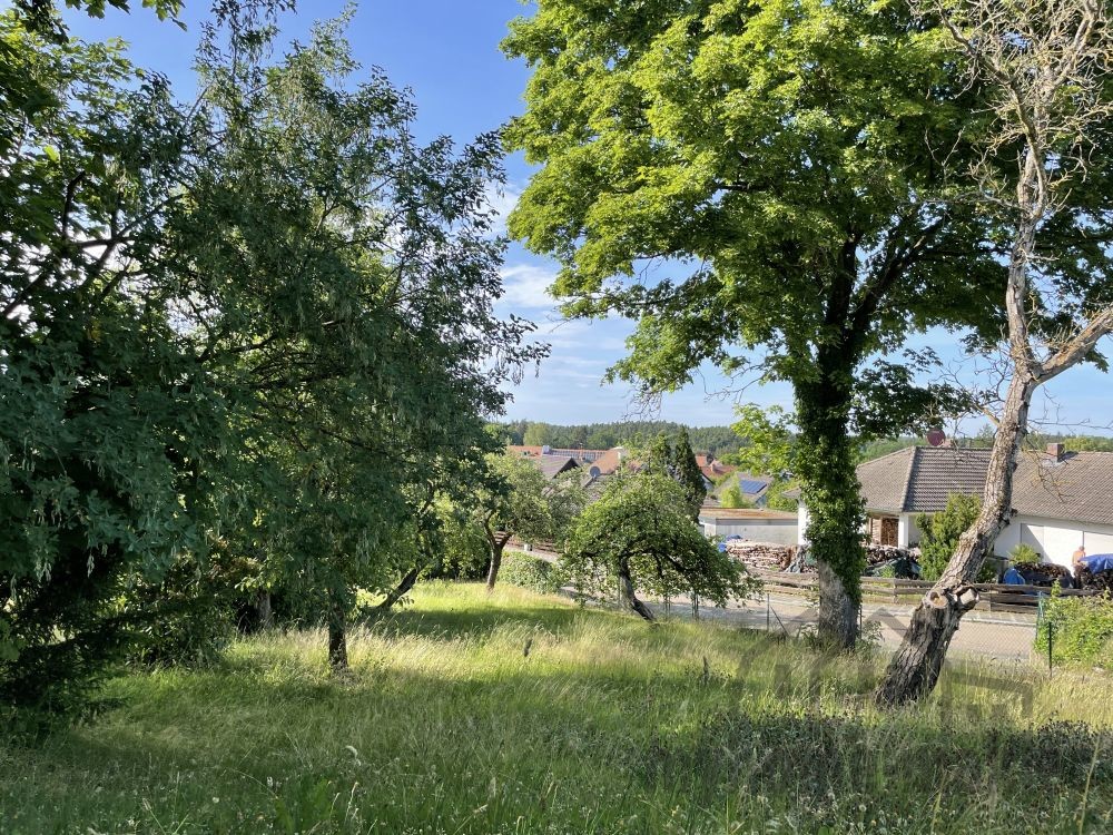 Ansicht Grundstück Pyrbaum22
