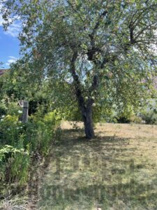 Baugrundstück Schwbach Penzen image017