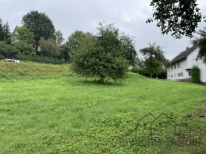 2024-10-07 15_11_52-Baugrundstück in Weigendorf Etzelw.028